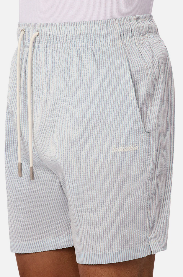 THE CORNELL SWIM SHORT