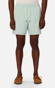 THE ARUBA SWIM SHORT